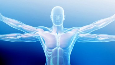 Biology and medicine slider