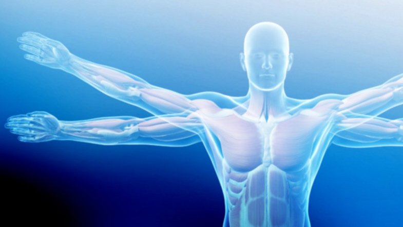 Optical measurement technology solutions for Biology and Medicine