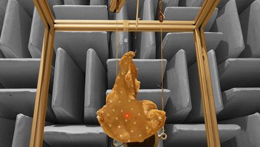 Vibration measurement setup of a hip bone for structural analysis Vibration measurement setup of a hip bone for structural analysis