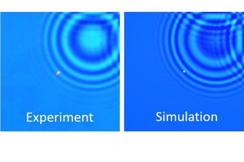 Simulierte und experimentelle Daten zu Oberlfächenwellen im Vergleich zur Modellvalidierung Simulierte und experimentelle Daten zu Oberlfächenwellen im Vergleich zur Modellvalidierung